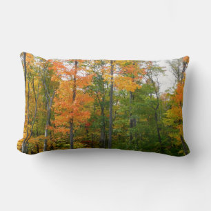 Almofada Lombar Fall Maple Trees Autumn Nature Fotografia