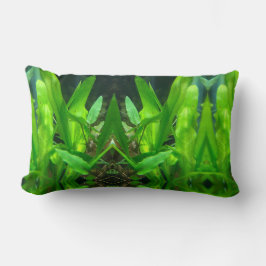 Almofada Lombar Fern Grove 2- Algodão Interior Lumbar