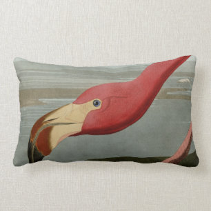 Almofada Lombar Flamingo americano