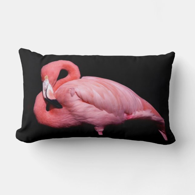 Almofada Lombar Flamingo rosa em preto (Frente)