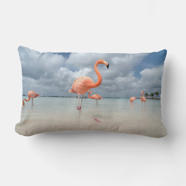 Almofada Lombar Flamingos Beach Aruba (Frente)