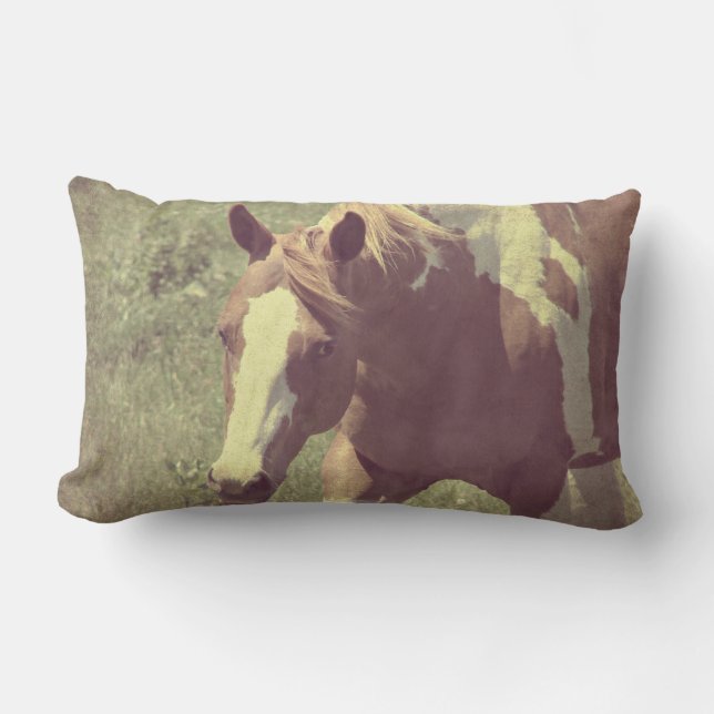 Almofada Lombar Flashy (Frente)