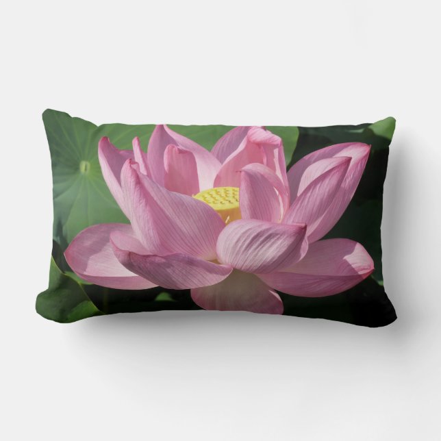 Almofada Lombar Flor de Lotus Rosa IV (Frente)
