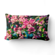 Flores De Maçã De Caranguejo Rosa