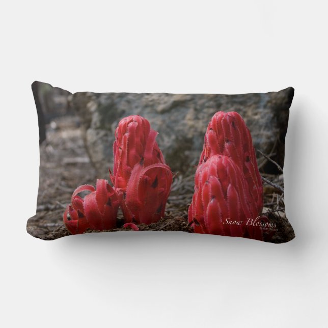 Almofada Lombar Flores de Neve (Frente)