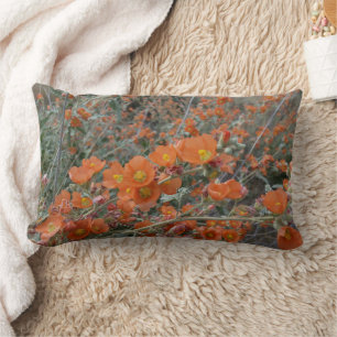 Almofada Lombar Flores De Sangue Do Deserto Laranja Globemallow