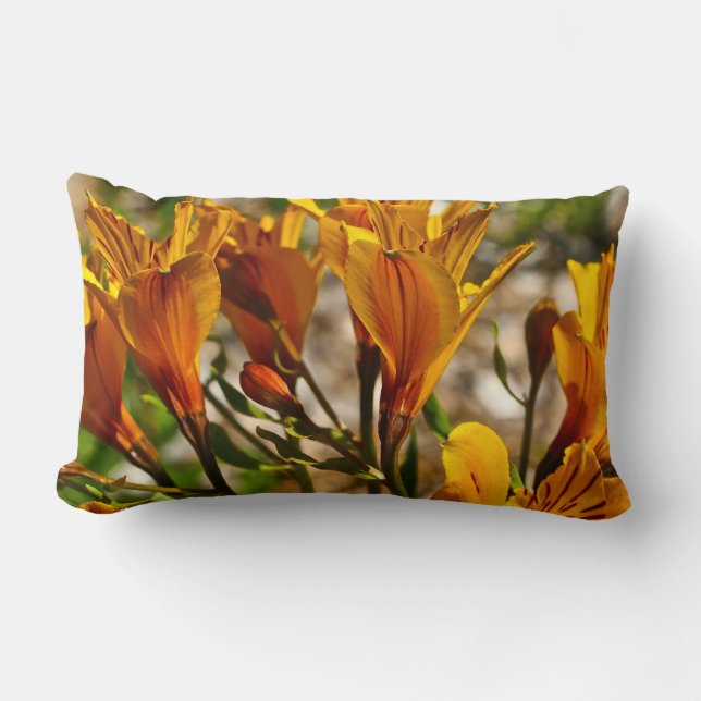ALMOFADA LOMBAR FLORES SELVAGENS ALARANJADAS DO PRIMAVERA (Frente)