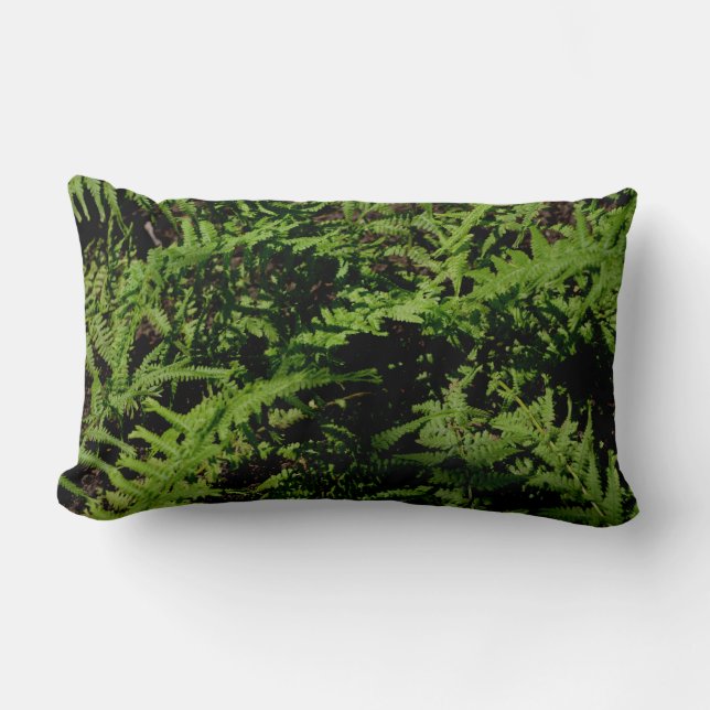 Almofada Lombar Floresta Ferns rustic boho greenery (Frente)