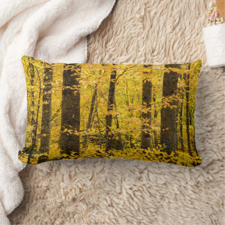 Almofada Lombar Floresta Nacional de Fall Pisgah