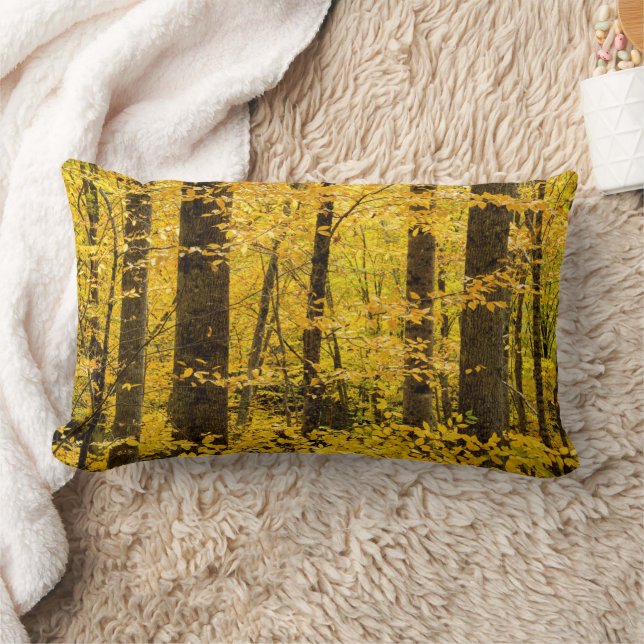 Almofada Lombar Floresta Nacional de Fall Pisgah (Cobertor)