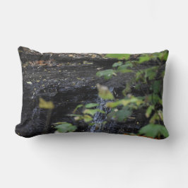 Almofada Lombar Fluxo não visto