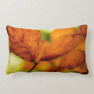 Almofada Lombar Folhas de outono