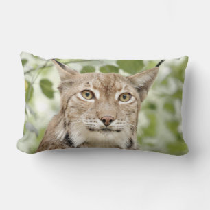Almofada Lombar Foto de lince, animais. travesseiro decorativo