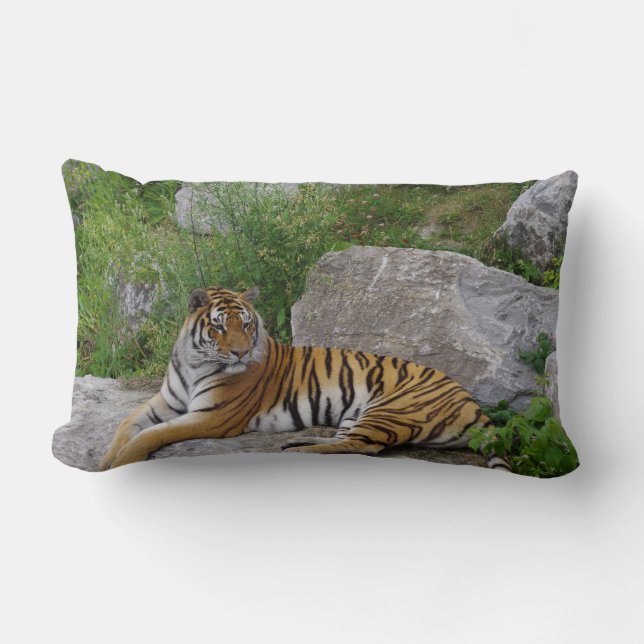 Almofada Lombar Foto de retrato de um tigre siberiano (Frente)