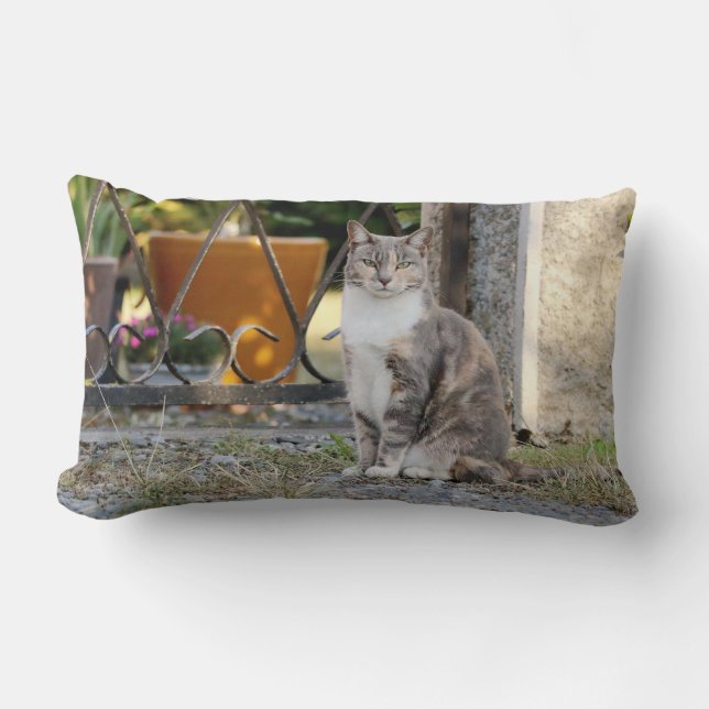 Almofada Lombar Foto: gato, animais. travesseiro decorativo (Frente)