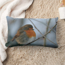 Foto vermelha do pássaro do peito do pisco de