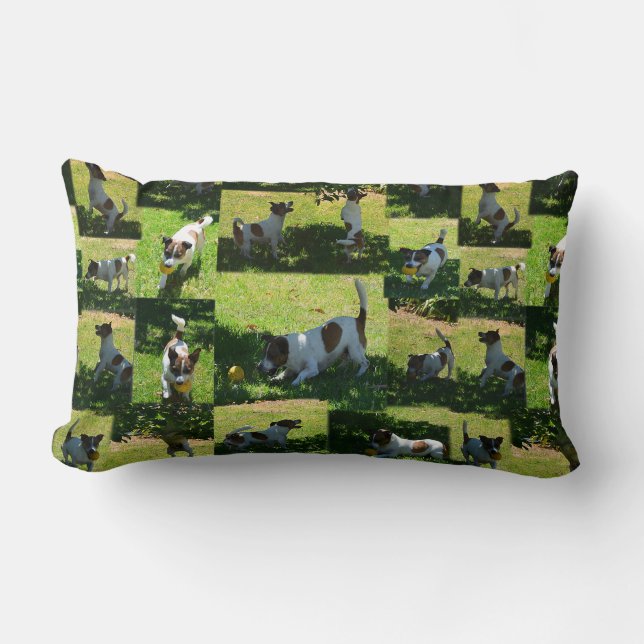 Almofada Lombar Fox Terrier, Foto Collarge Lumbar Cushion. (Frente)