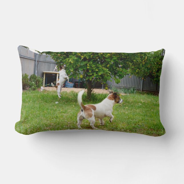 Almofada Lombar Fox Terrier Pulando Em Uma Árvore, (Frente)