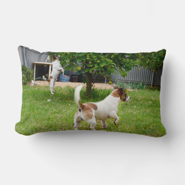 Almofada Lombar Fox Terrier Time Lumbar Cushion (Frente)
