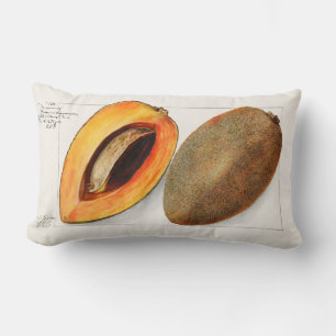 Almofada Lombar Fruta Vintage