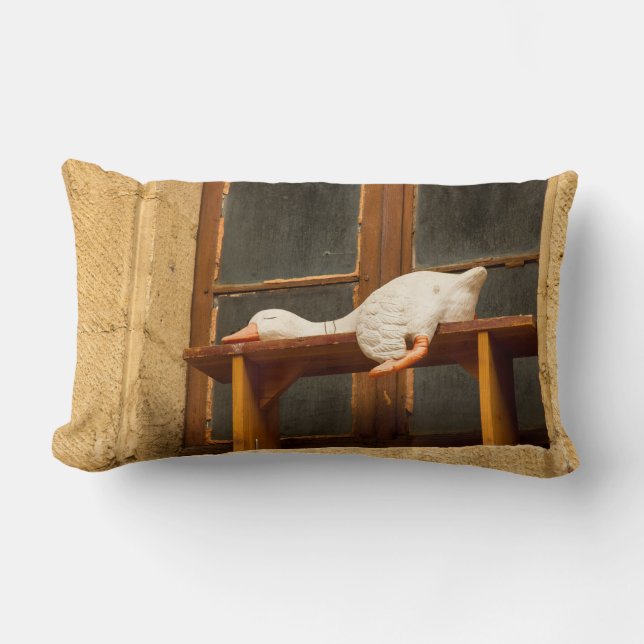 Almofada Lombar Ganho de pouso ganha Travesseiro decorativo (Frente)