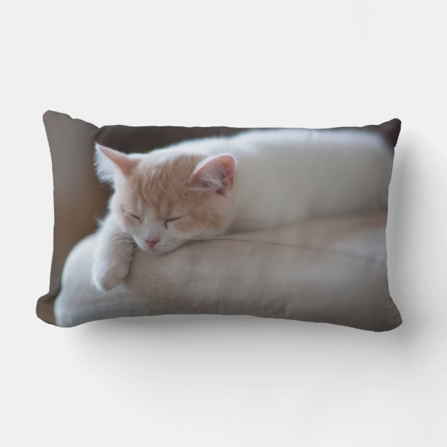Almofada Lombar Gatinho bege e branco cansado (Frente)