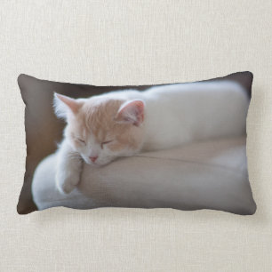 Almofada Lombar Gatinho bege e branco cansado