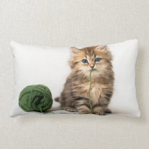 Almofada Lombar Gatinho com fio verde