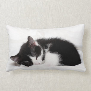 Almofada Lombar Gatinho do sono