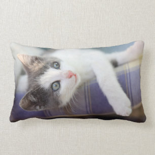 Almofada Lombar Gatinho doce na cama da xadrez