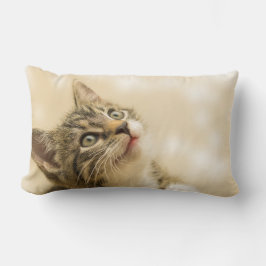 Almofada Lombar Gatinho Fofo com uma Pata Estimulada