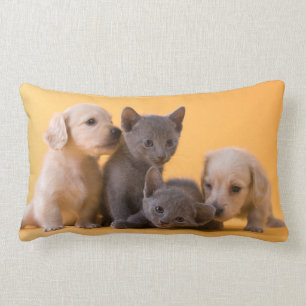 Almofada Lombar Gatinhos do russo & filhotes de cachorro azuis do