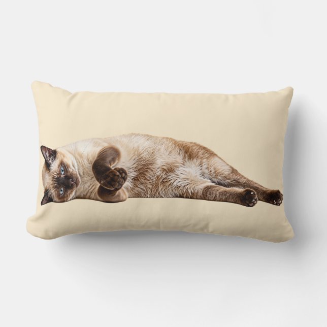 Almofada Lombar Gato Aconchegante Siames (Frente)