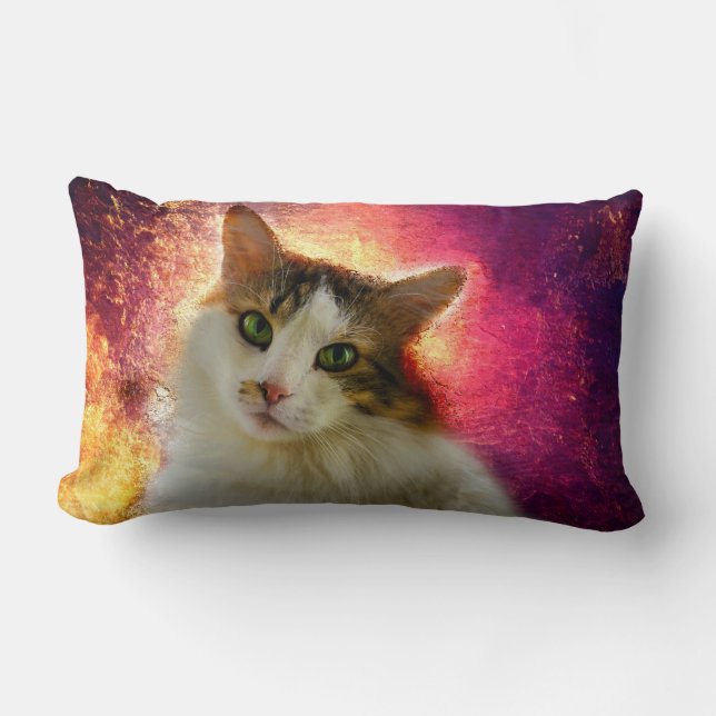 Almofada Lombar Gato de Calico Cento Adorável (Frente)