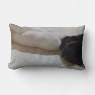 Almofada Lombar gato-do-gato