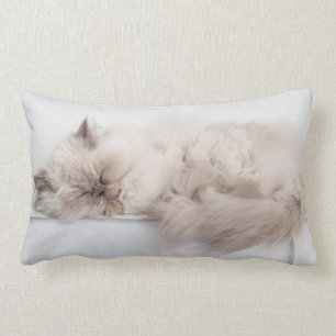 Almofada Lombar Gato persa
