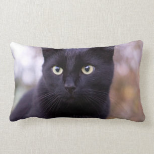 Almofada Lombar gato preto