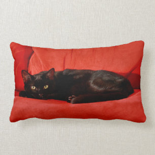 Almofada Lombar Gato Preto Edgar