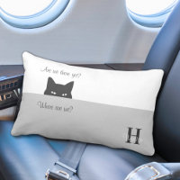 Gato Sneaky Estamos Lá Ainda Viagem