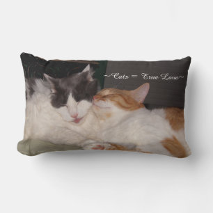 Almofada Lombar Gatos Bons dormindo Travesseiro de Amor Verdadeiro