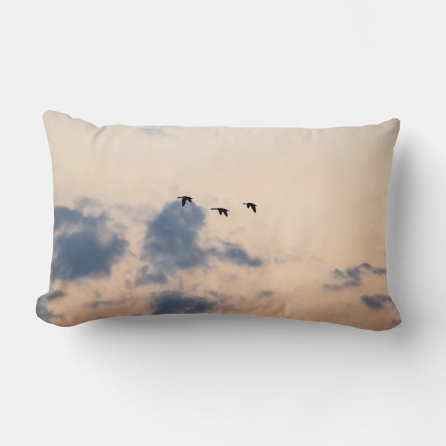 Almofada Lombar Geese e Soft Sunset (Frente)