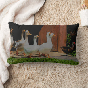 Almofada Lombar Geese No Travesseiro MoJo Americano De Março