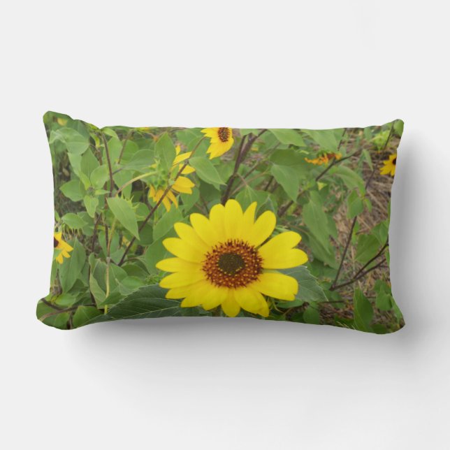 Almofada Lombar Girassóis No Vento, Lumbar Cushion. (Frente)