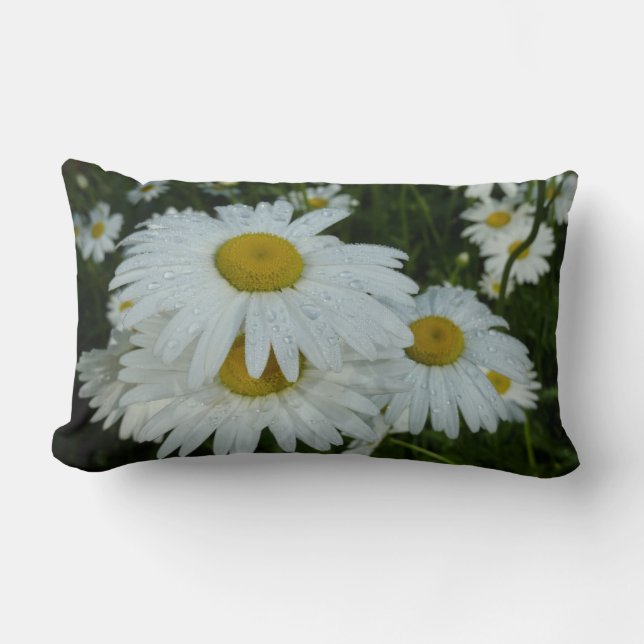 Almofada Lombar Gotas de chuva em Daisies Wildflower (Frente)