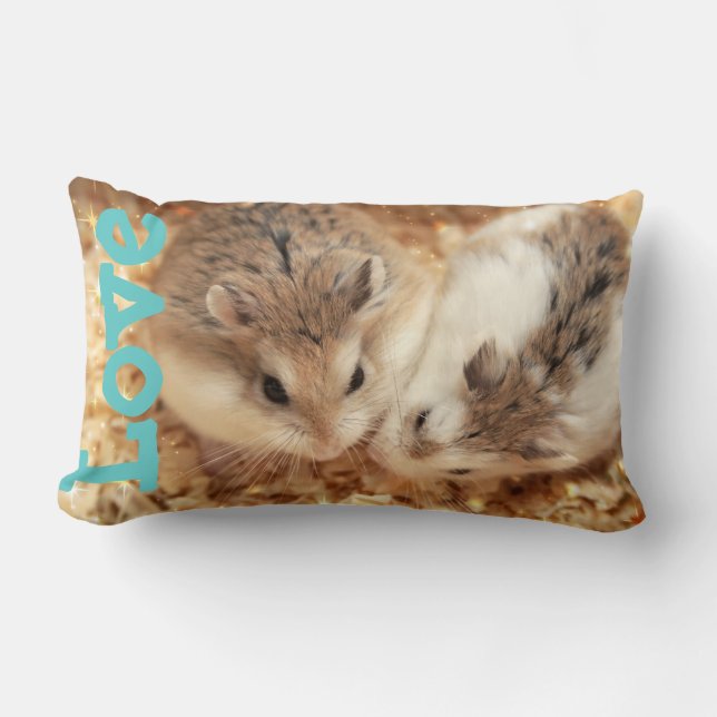 Almofada Lombar Hammyville - Hamster Love (Frente)