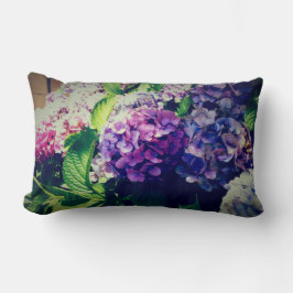 Almofada Lombar hidratos coloridos