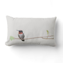 Hummingbird no Branch