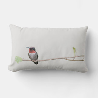 Almofada Lombar Hummingbird no Branch