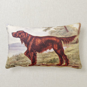 Almofada Lombar Ilustração 1900 do setter irlandês do cão