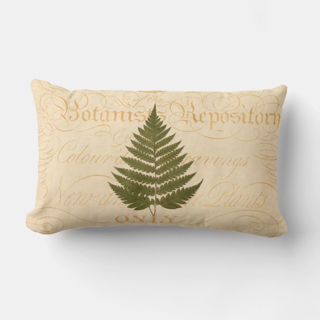 Almofada Lombar Ilustração da folha da samambaia da verde azeitona (Frente)